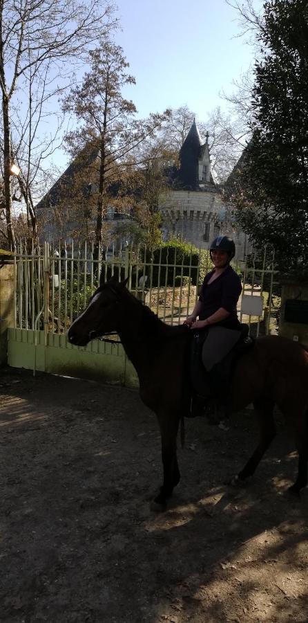 Chambre D'Hote En Vallee Du Loir - Elevage Des Rosiers Bazouges-sur-le-Loir Eksteriør bilde