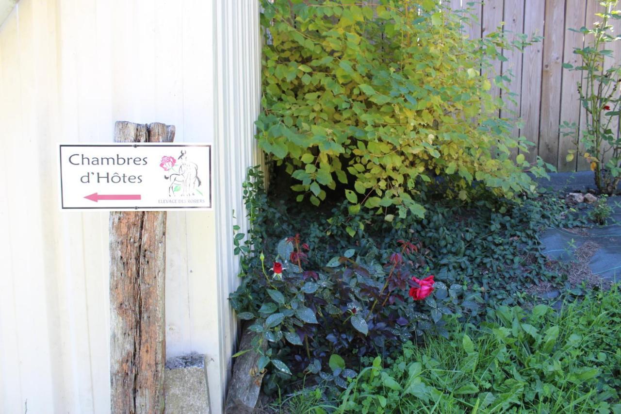 Chambre D'Hote En Vallee Du Loir - Elevage Des Rosiers Bazouges-sur-le-Loir Eksteriør bilde