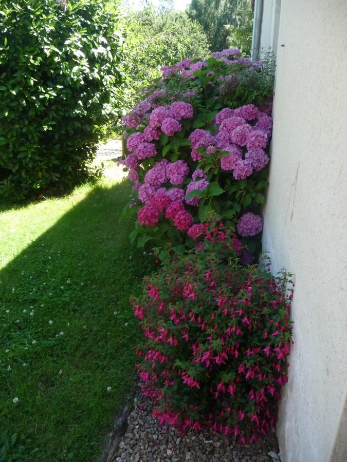 Chambre D'Hote En Vallee Du Loir - Elevage Des Rosiers Bazouges-sur-le-Loir Eksteriør bilde