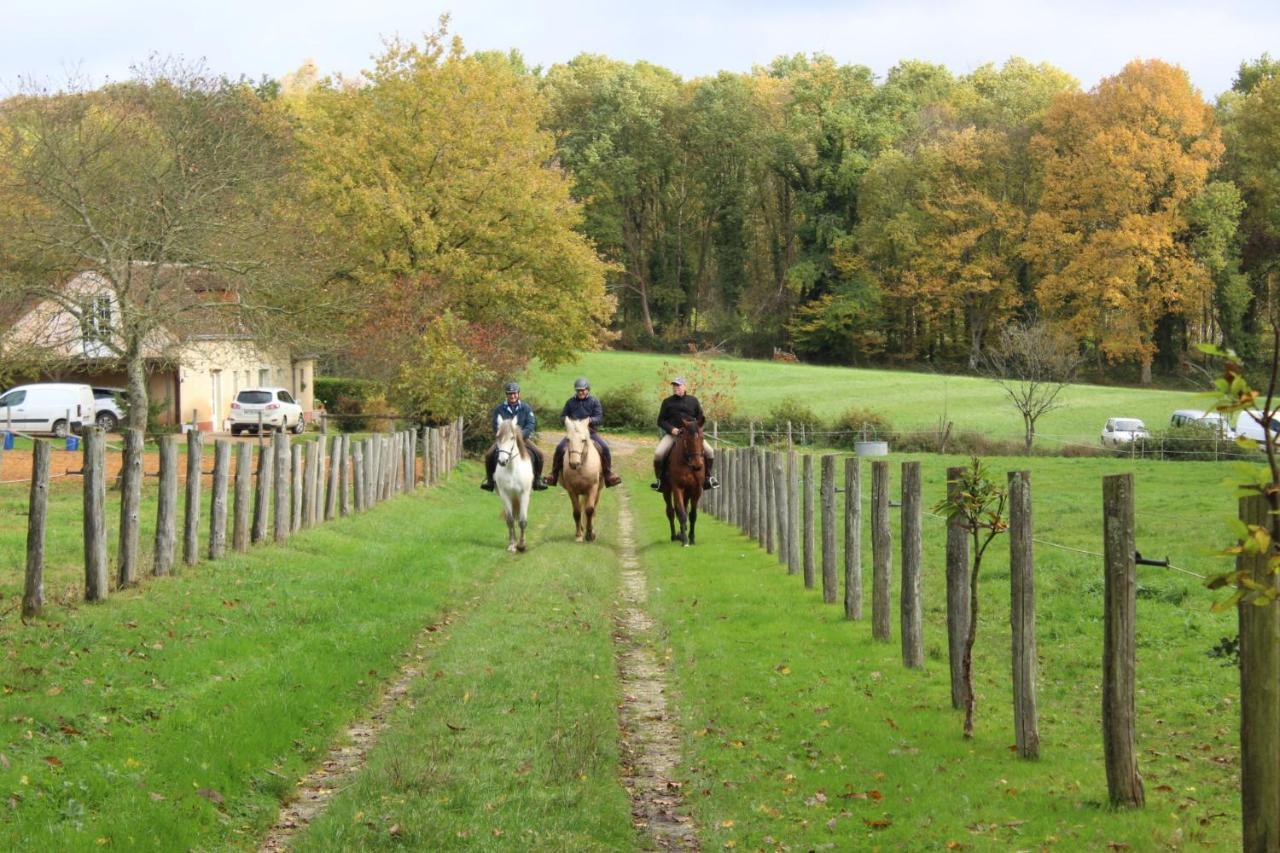 Chambre D'Hote En Vallee Du Loir - Elevage Des Rosiers Bazouges-sur-le-Loir Eksteriør bilde