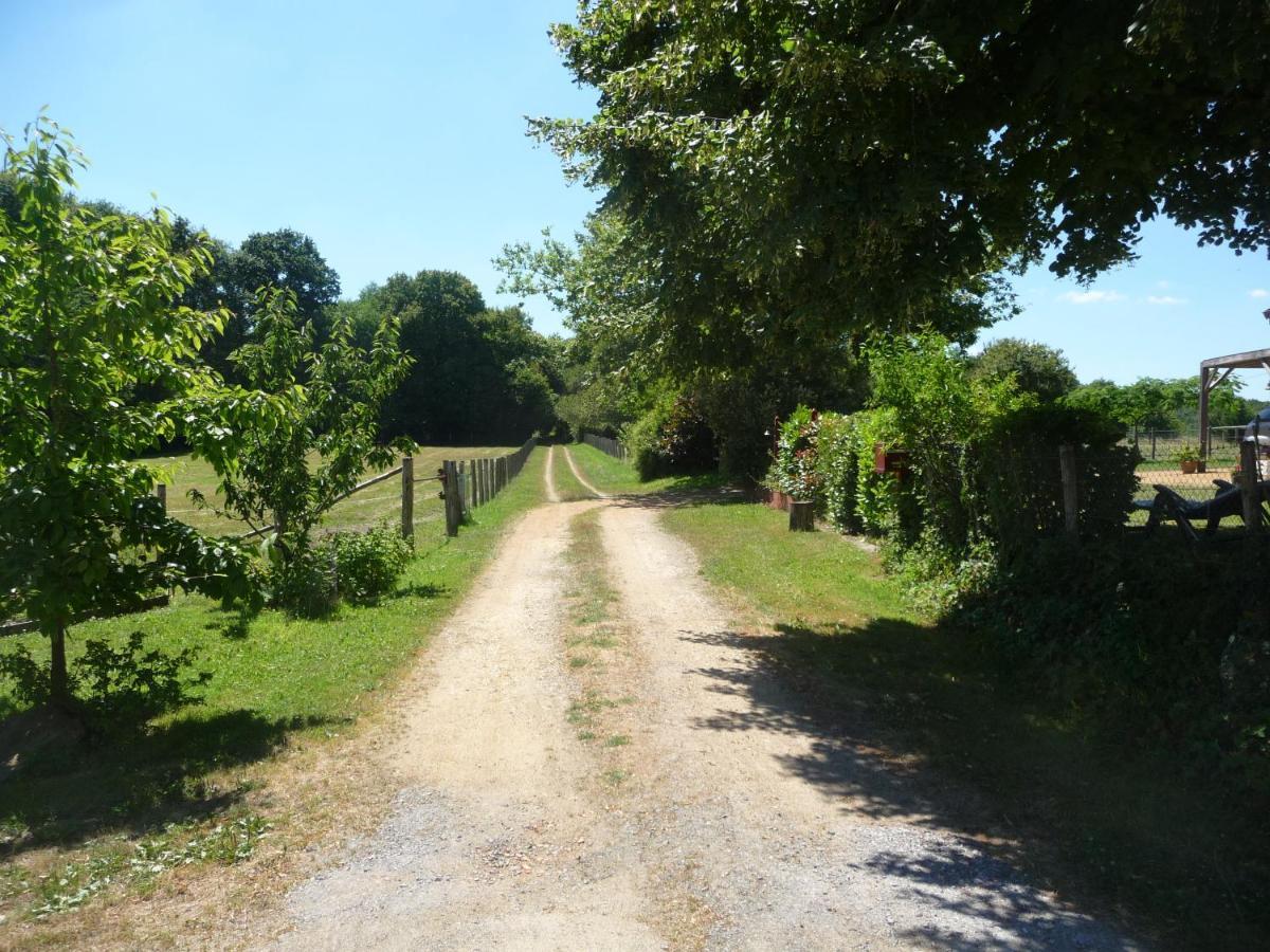 Chambre D'Hote En Vallee Du Loir - Elevage Des Rosiers Bazouges-sur-le-Loir Eksteriør bilde